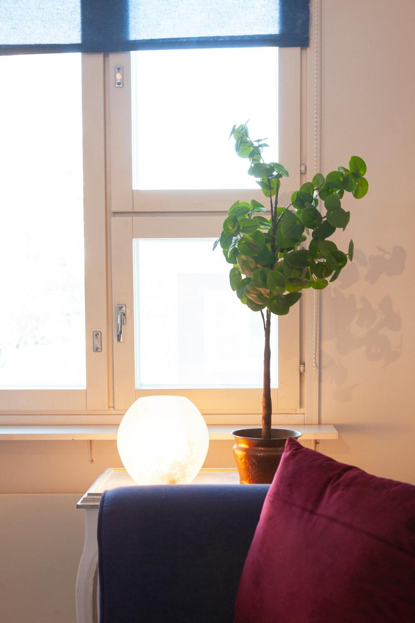 Ferienwohnung Saimaan Kodikas Savonlinna Exterior foto